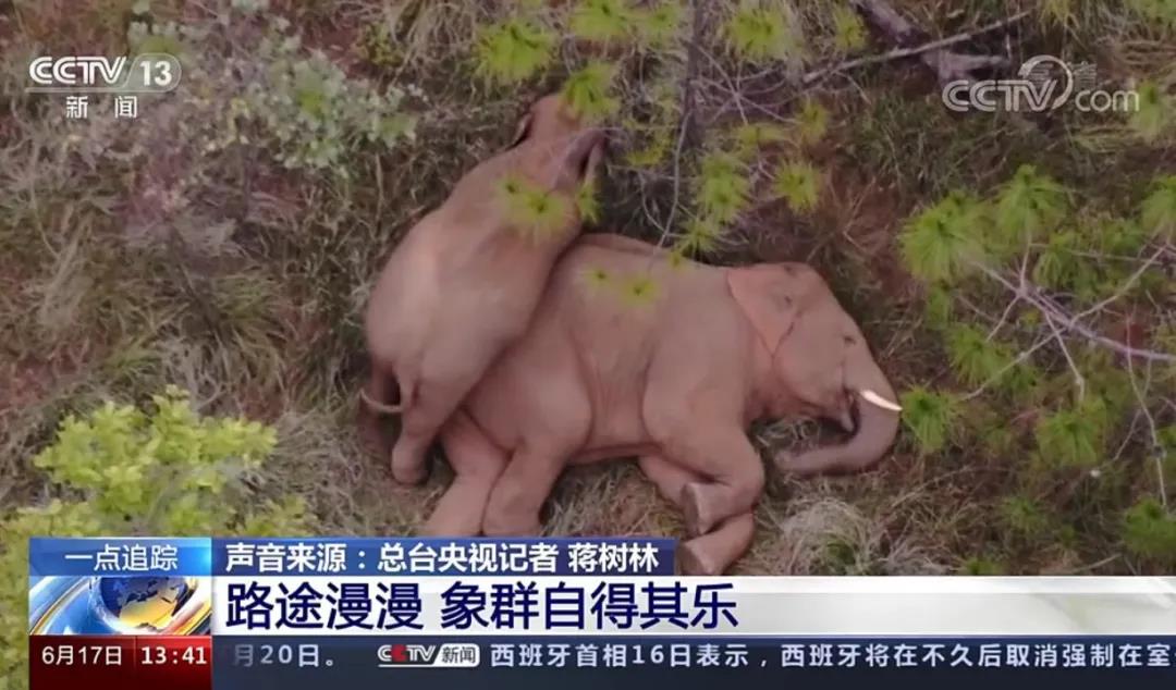 乐鱼官方端网站登录入口-乐鱼leyu(中国)
